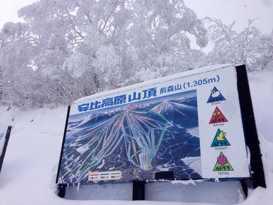広い！雪質もgood！！|安比高原スキー場のクチコミ画像