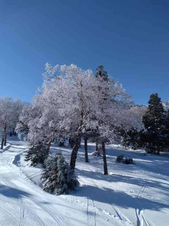 オグナほたかスキー場のフォトギャラリー1