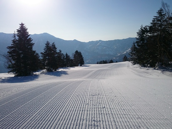 雪質、最高|志賀高原 焼額山スキー場のクチコミ画像