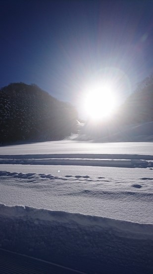 雪質最高!|のクチコミ画像