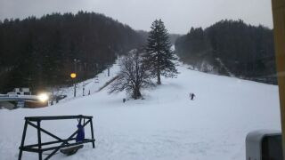 ヴェルベットのような雪が・・・・・・。|ヘブンスそのはら SNOW WORLDのクチコミ画像