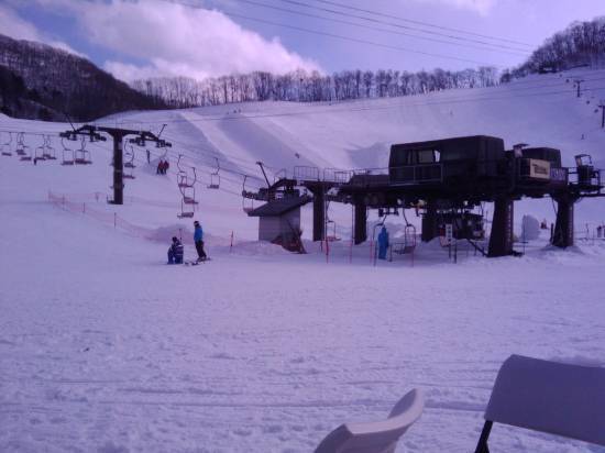 ワンダーランドかたしなレビューキャンペーン