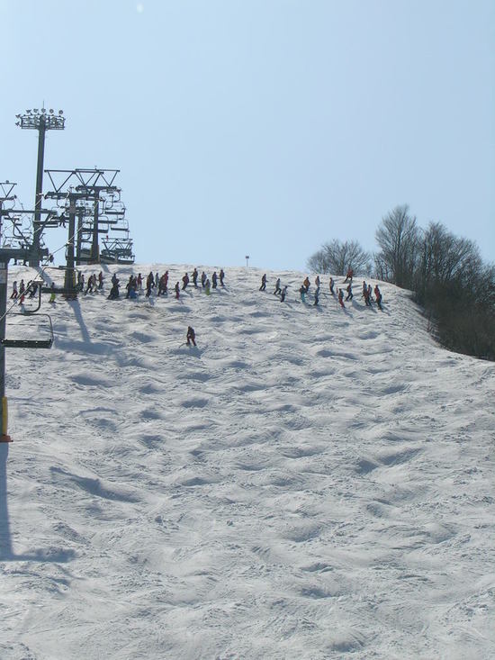 コースがいっぱいあって飽きません。|石打丸山スキー場のクチコミ画像