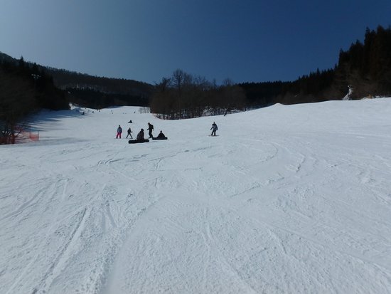 やっと全コース滑走|ノルンみなかみスキー場のクチコミ画像
