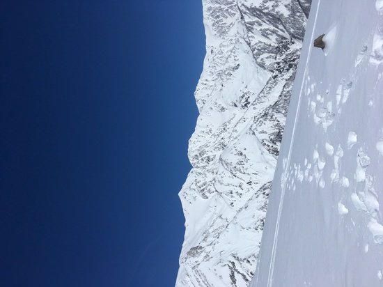 絶景！|白馬八方尾根スキー場のクチコミ画像