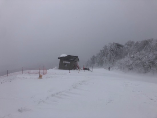 グランプリコースオープン|菅平パインビークスキー場のクチコミ画像