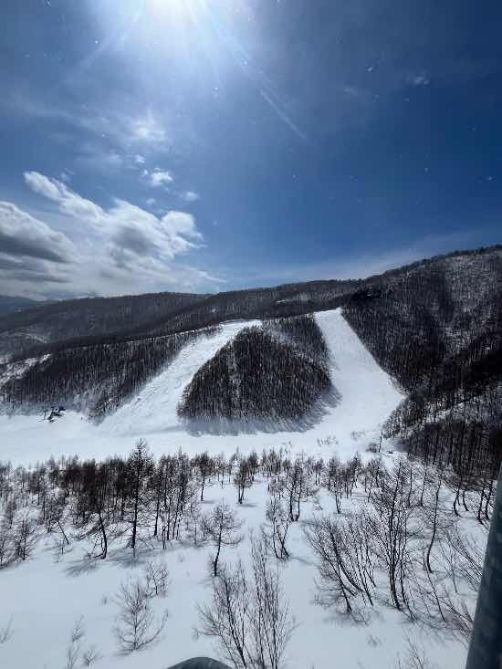 広いバーンが気持ち良いです！ワンダーランドかたしなレビューキャンペーン|オグナほたかスキー場のクチコミ画像