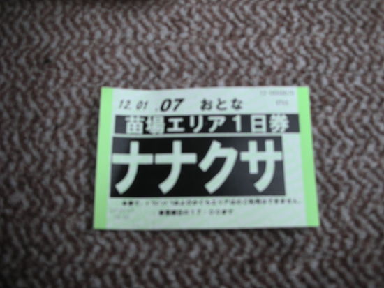 ナナクサ|苗場スキー場のクチコミ画像