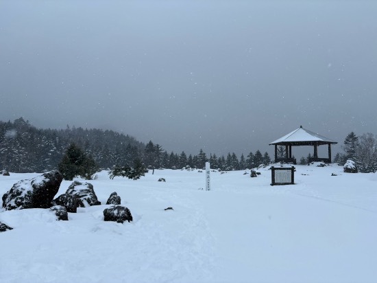 ワンダーランドかたしなレビューキャンペーン|丸沼高原スキー場のクチコミ画像