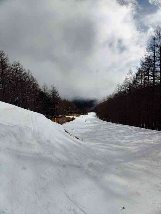 マニアさん|八千穂高原スキー場のクチコミ画像