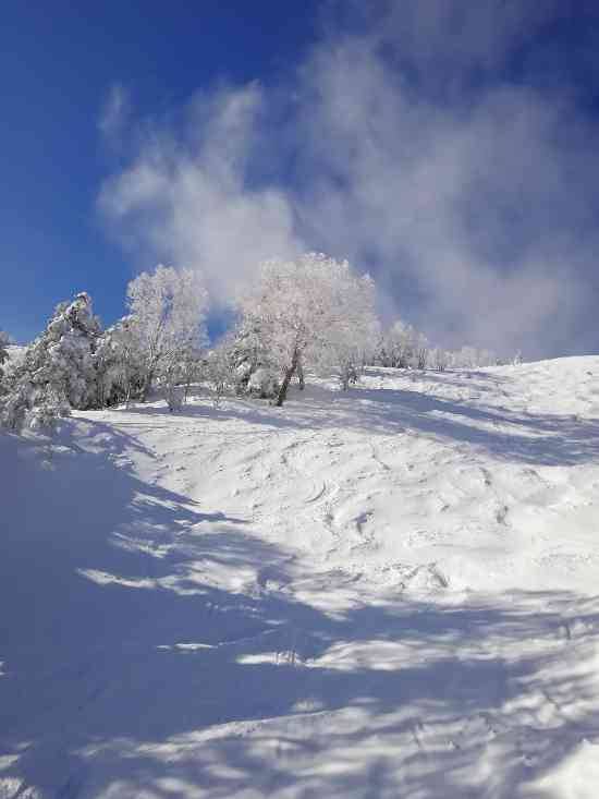 オグナほたかスキー場のフォトギャラリー1