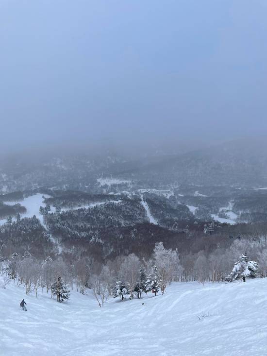 ツリーラン|志賀高原 焼額山スキー場のクチコミ画像