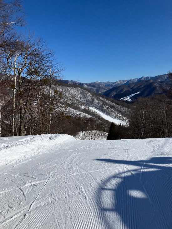 ワンダーランドかたしなレビューキャンペーン|かたしな高原スキー場のクチコミ画像