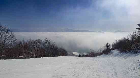 ワンダーランドかたしなレビューキャンペーン|オグナほたかスキー場のクチコミ画像