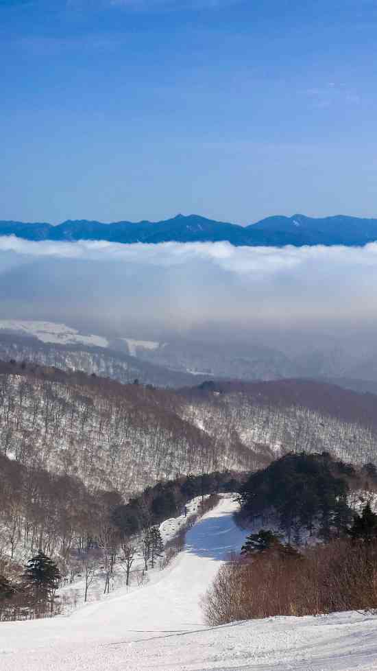 ワンダーランドかたしなレビューキャンペーン|オグナほたかスキー場のクチコミ画像3