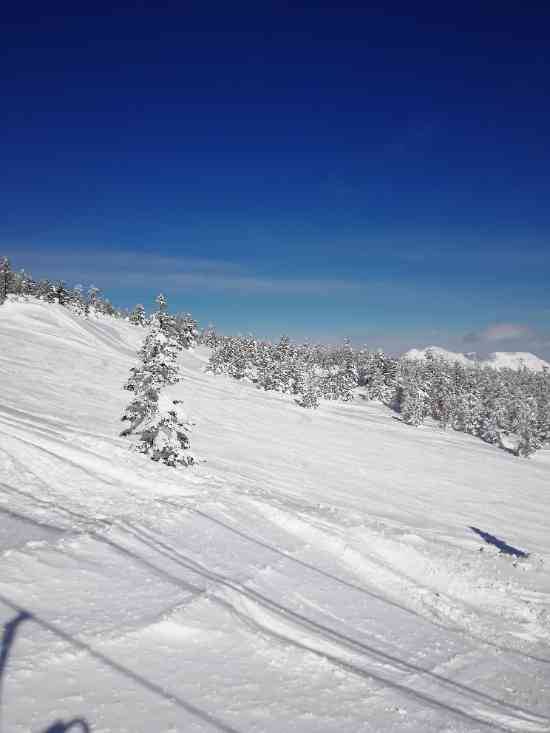 ワンダーランドかたしなレビューキャンペーン|スノーパーク尾瀬戸倉のクチコミ画像