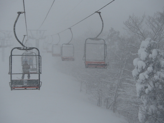 大雪の関西スキースノボの日。|ハチ・ハチ北スキー場のクチコミ画像