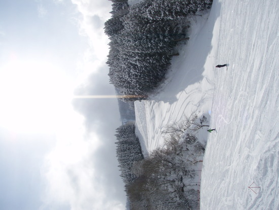 今年の積雪は？|立山山麓スキー場のクチコミ画像