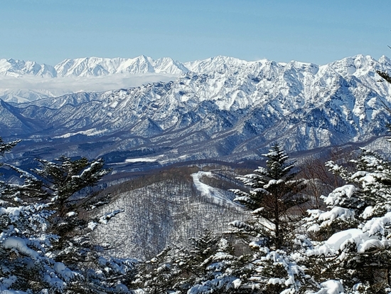 戸隠最高！！|戸隠スキー場のクチコミ画像2