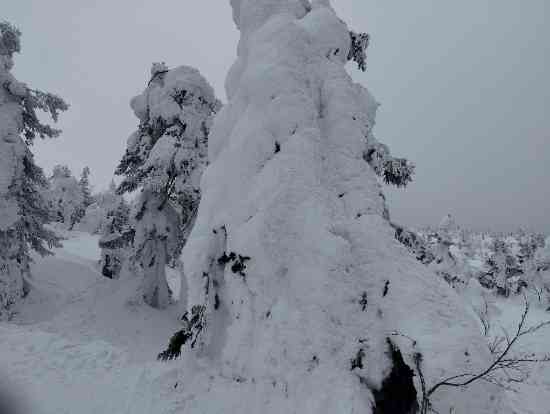 アイスバーン|蔵王ライザワールドのクチコミ画像1