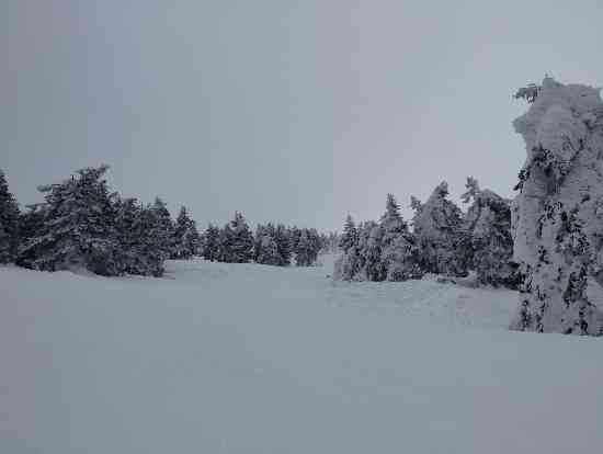 アイスバーン|蔵王ライザワールドのクチコミ画像3