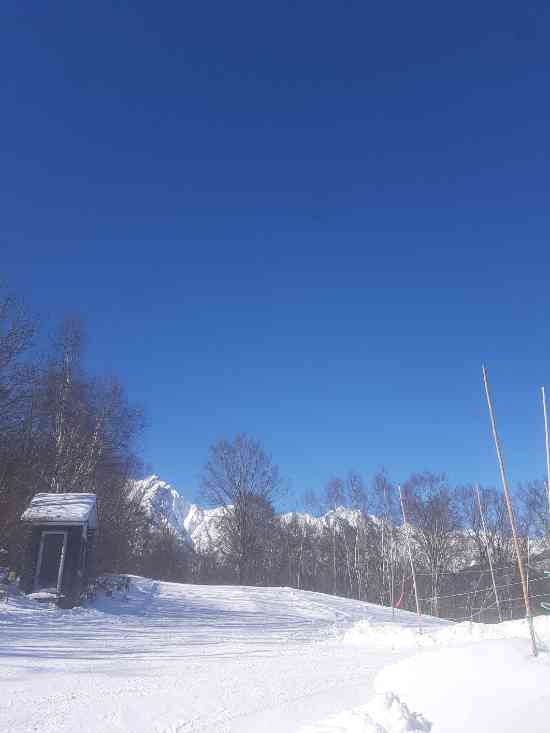 下のダウンヒルは良いです|HAKUBAVALLEY 鹿島槍スキー場 ファミリーパークのクチコミ画像2