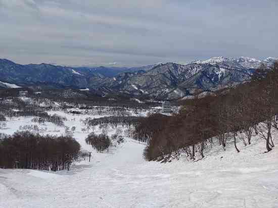 全面しゃば雪。3月末まで持たないのでは？