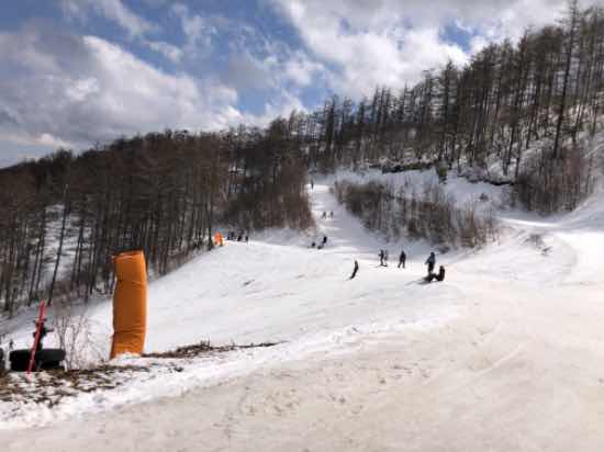 雪がない！|菅平パインビークスキー場のクチコミ画像