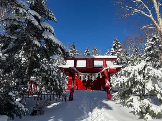 斜面構成、設備、値段全てに於いて秀逸|丸沼高原スキー場のクチコミ画像2