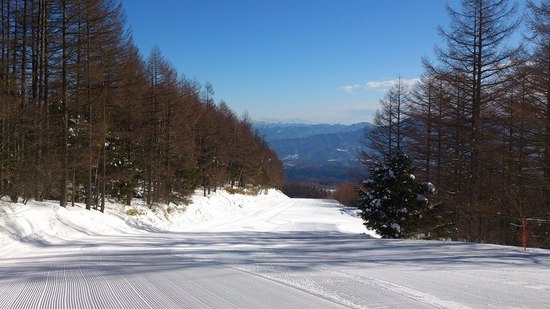 雪質最高！|八千穂高原スキー場のクチコミ画像