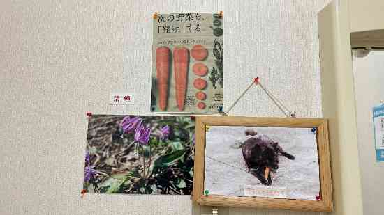 しみず食堂|石打丸山スキー場のクチコミ画像3