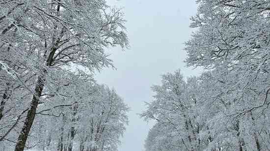 降雪もあり最高のコンディション|湯沢高原スキー場のクチコミ画像