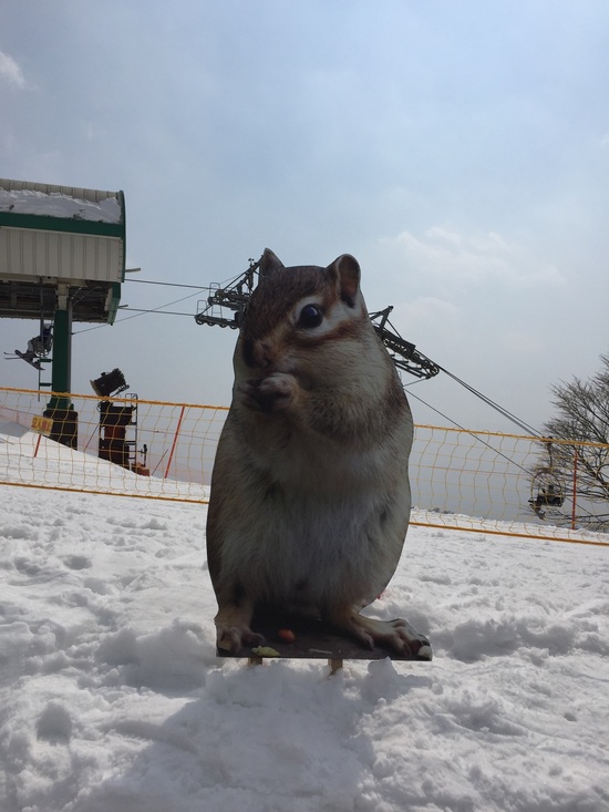 大会|ホワイトピアたかすのクチコミ画像3