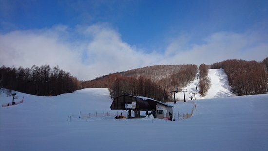 写真追加！|のクチコミ画像