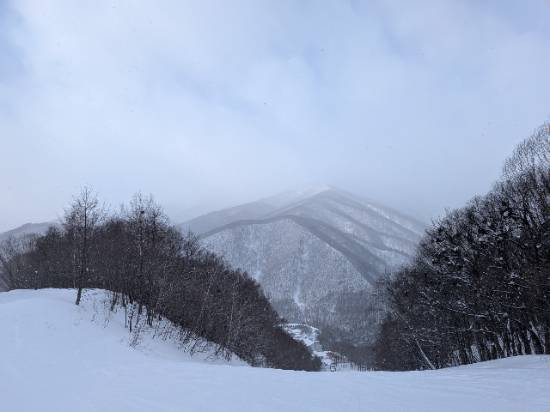 雪質、最高|スノーパーク尾瀬戸倉のクチコミ画像