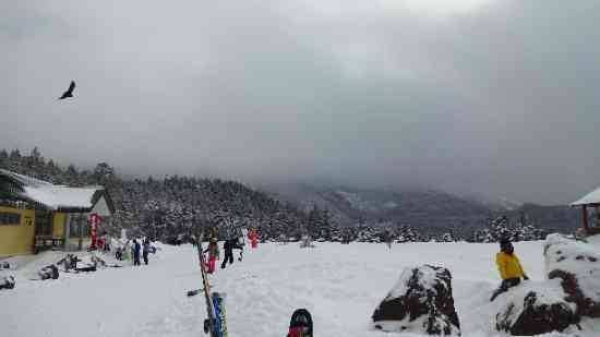 ワンダーランドかたしなレビューキャンペーン|のクチコミ画像