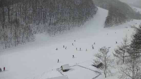 ワンダーランドかたしなレビューキャンペーン