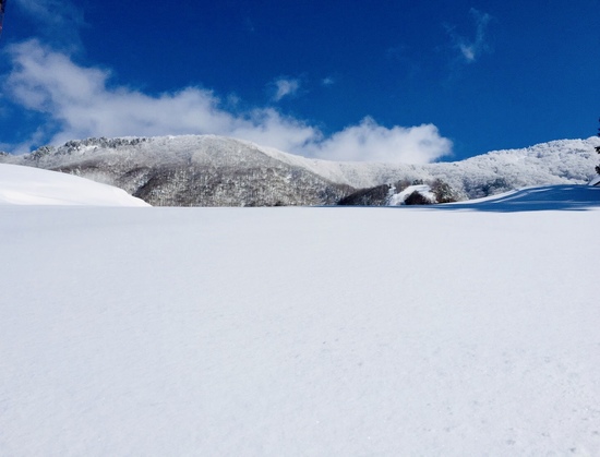 Snow view|竜王スキーパークのクチコミ画像