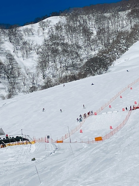 信州割|白馬乗鞍温泉スキー場のクチコミ画像