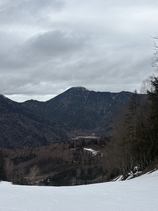 ワンダーランドかたしなレビューキャンペーン|丸沼高原スキー場のクチコミ画像1