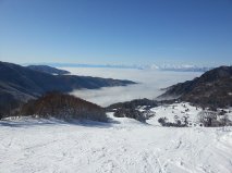 かもしかと遭遇しました。|YAMABOKU ワイルドスノーパークのクチコミ画像