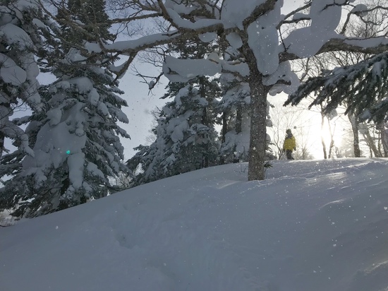 パウダースノー|安比高原スキー場のクチコミ画像2