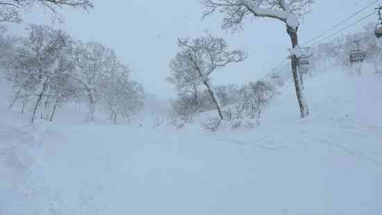 林間コース|ニセコ東急 グラン・ヒラフのクチコミ画像2