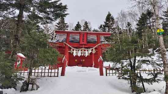 クリボッチスキー|丸沼高原スキー場のクチコミ画像