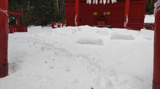 クリボッチスキー|丸沼高原スキー場のクチコミ画像2