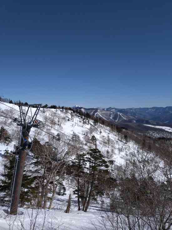 ワンダーランドかたしなレビューキャンペーン