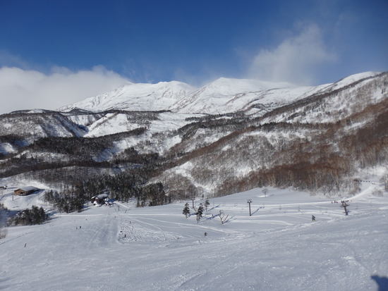 パウダーと柔らか目の圧雪|のクチコミ画像