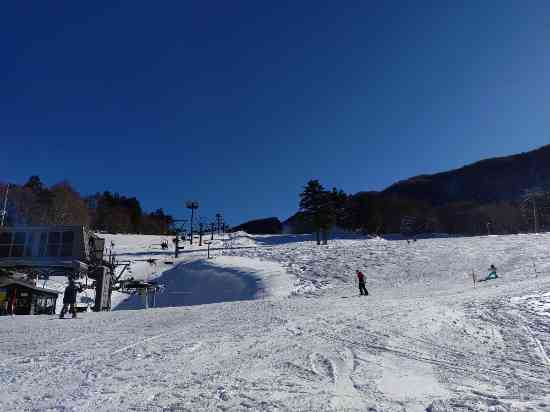 ワンダーランドかたしなレビューキャンペーン|丸沼高原スキー場のクチコミ画像