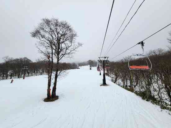 雨が。。。。|たんばらスキーパークのクチコミ画像