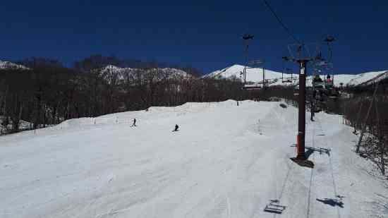 コースは1本だけ